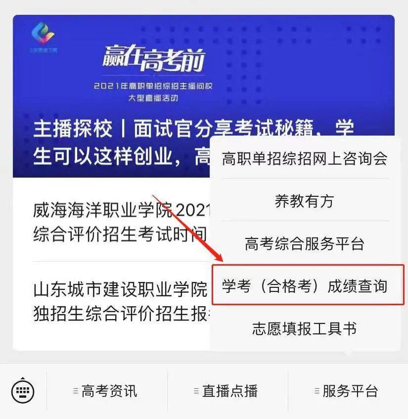 辽宁考试院，学考成绩查询的的网站是哪个