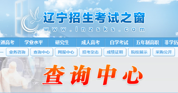 辽宁考试之窗登录入口(辽宁考试之窗官网登录入口:https://www.lnzsks.com/)