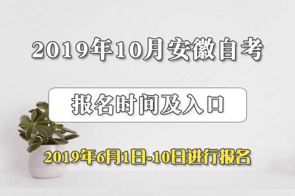 安徽教育招生考试院(安徽教育招生考试院官网)