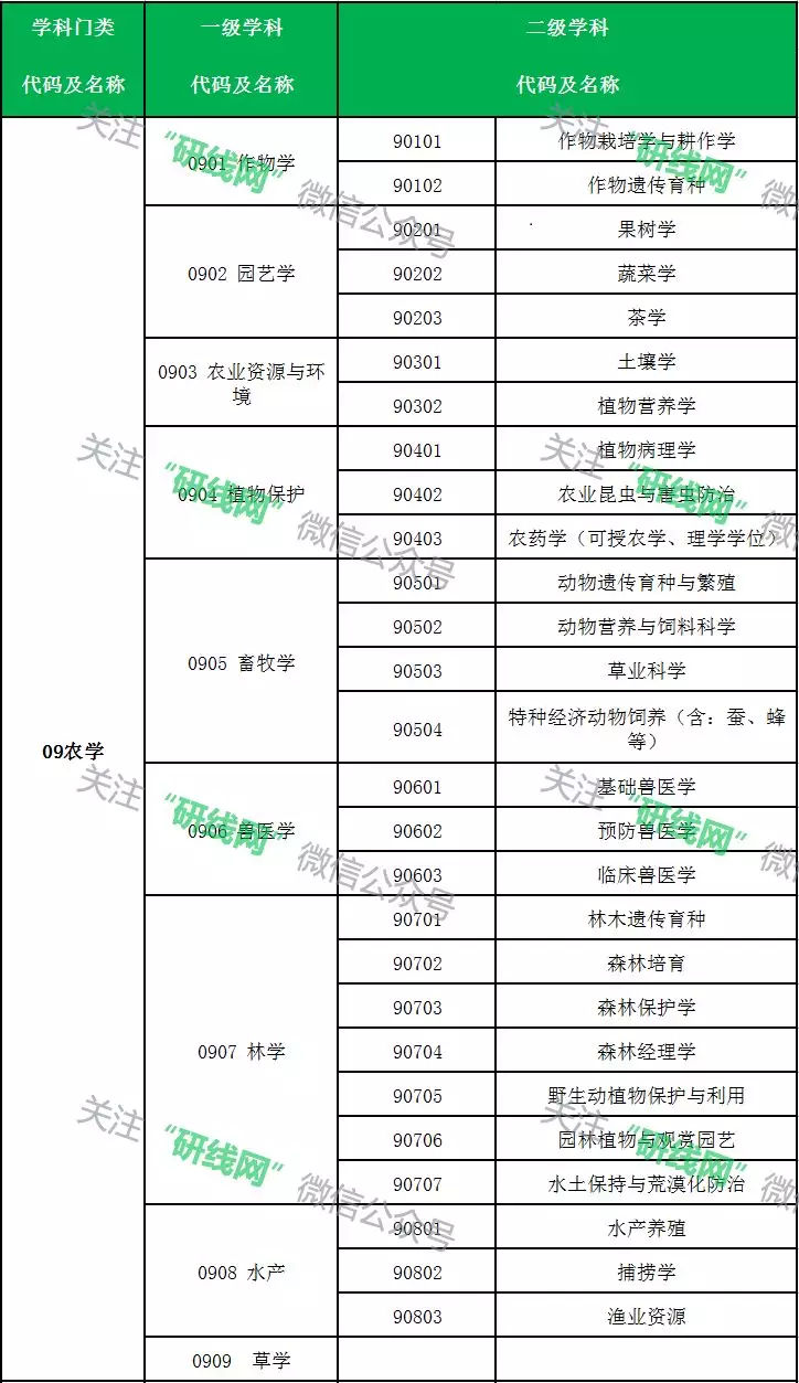 报考专业（报考专业代码怎么查）